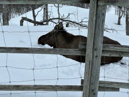 IMG_4875