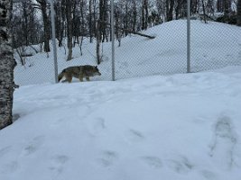 IMG_4881
