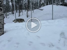 IMG_4881