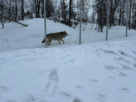 IMG_4882