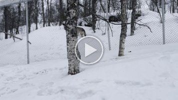 IMG_4884