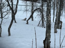 IMG_4888