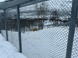 IMG_4889