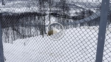 IMG_4891