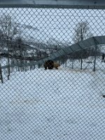 IMG_4893