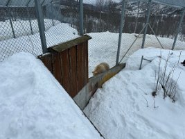 IMG_4902