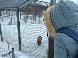 IMG_4906