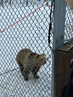 IMG_4907