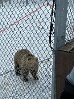 IMG_4908