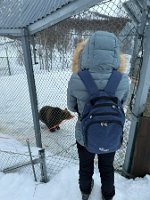 IMG_4914