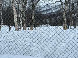 IMG_4923