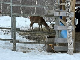 IMG_4935