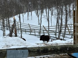 IMG_4937