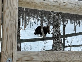IMG_4940