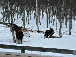 IMG_4941