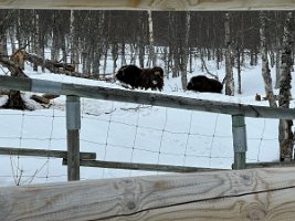 IMG_4943