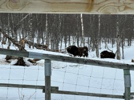 IMG_4944