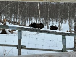 IMG_4945