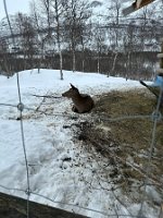 IMG_4947
