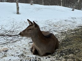 IMG_4948
