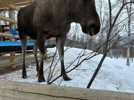 IMG_4951