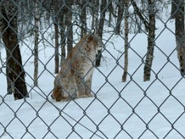 IMG_4957