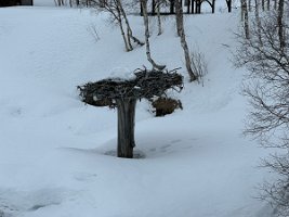 IMG_4959