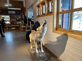 IMG_4962
