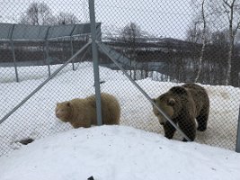 IMG_9214