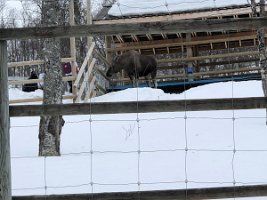 IMG_9224