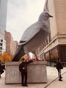 518e4512-10e5-41f4-bb3b-fc790cb72273