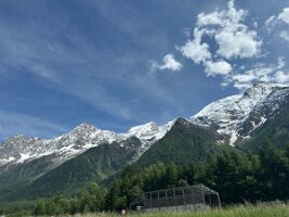 IMG_0633