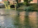 IMG_1618